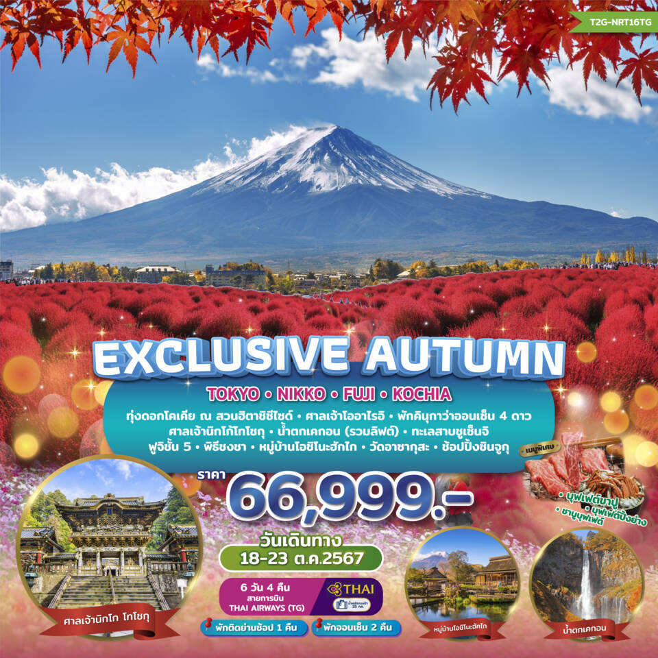 ทัวร์ญี่ปุ่น Exclusive Autumn Tokyo Nikko Fuji Kochia 6วัน 4คืน (TG)