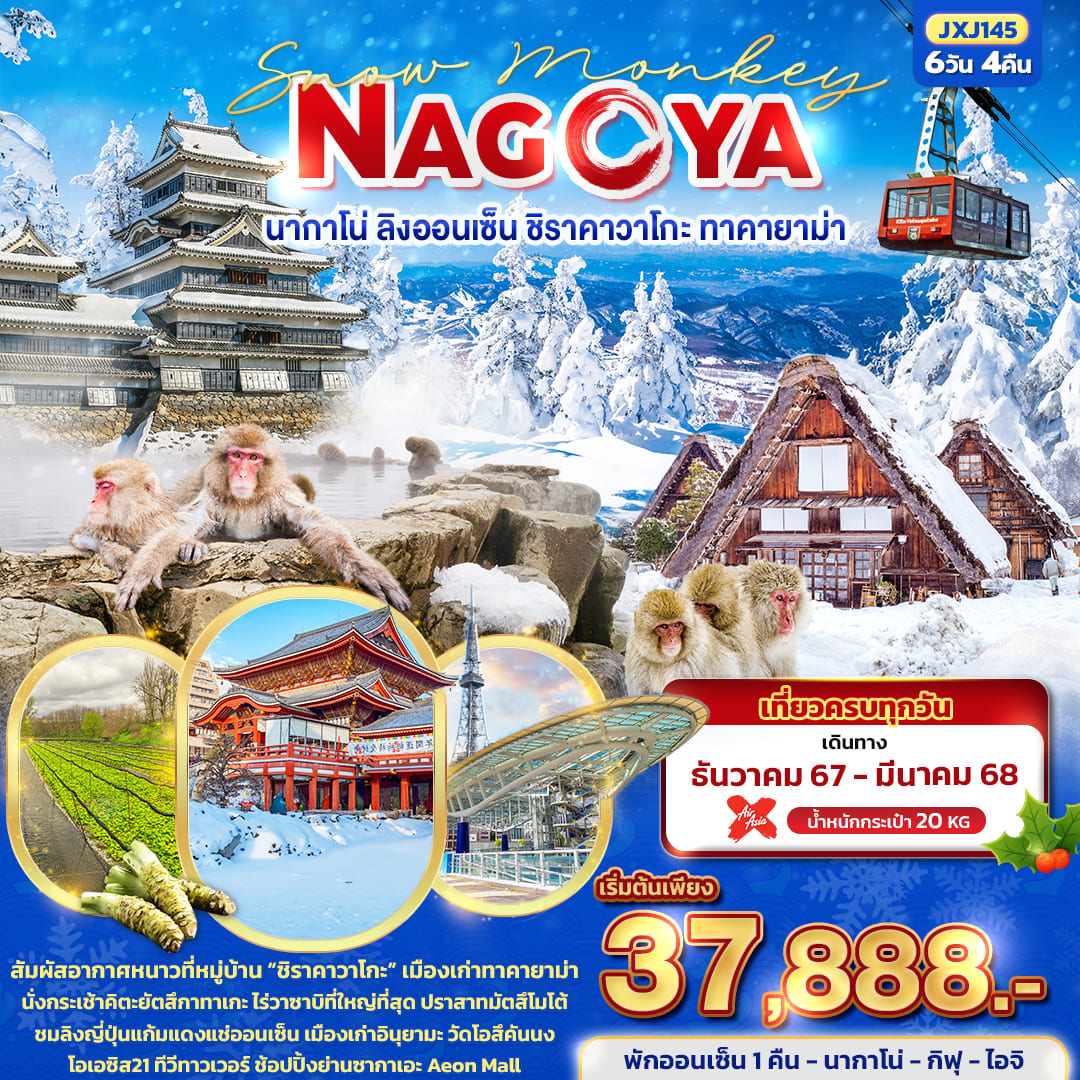 ทัวร์ญี่ปุ่น Snow Monkey NAGOYA นากาโน่ ลิงออนเซ็น ชิราคาวาโกะ ทาคายาม่า 6วัน 4คืน (XJ)