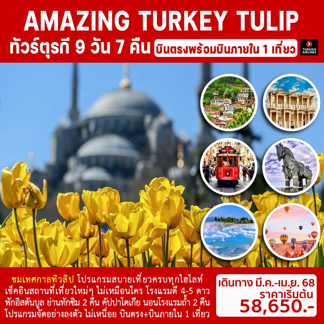 ทัวร์ตุรกี AMAZING TURKEY TULIP 9วัน 7คืน (TK)