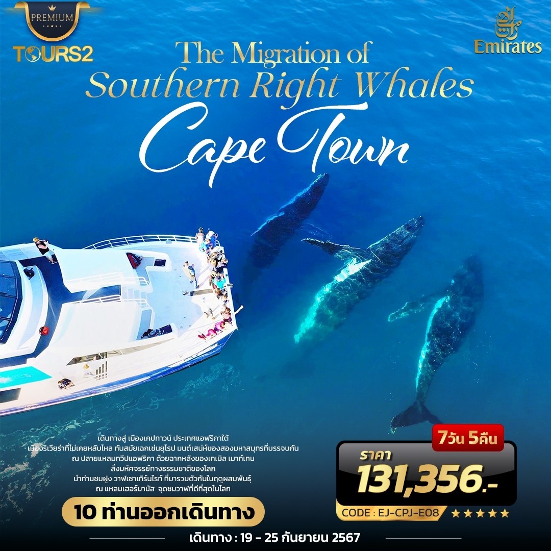 ทัวร์แอฟริกาใต้ The Migration of  Southern Right Whales CAPE TOWN 7วัน 5คืน (EK)